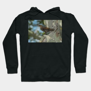 Bird in the City Hoodie